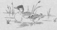 illustr_recits_20190210_0021
